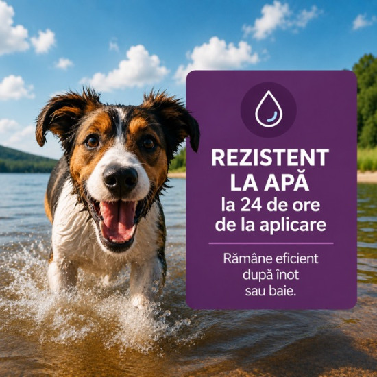 Vectra 3D – Antiparazitar Extern pentru Câini între 25–40 kg, 3 Pipete – Ceva Santé Animale
